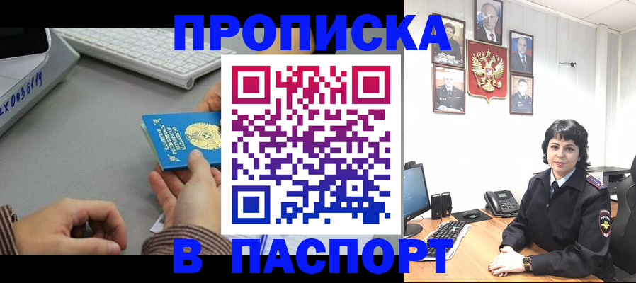 прописка в Коле